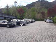 2019 - Jaguar in Friuli (27-28 Aprile) (4/29)